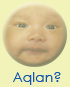 Siapa Aqlan?